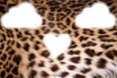 mini léopard