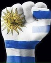 Fuerza Uruguay