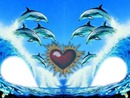 dauphin coeur vague