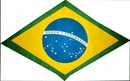 UDGZWALLE_BRAZIL FLAG