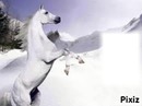 cheval des neige