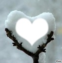 cuore d'inverno
