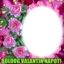 Valentin nap