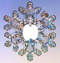cristaux de neige