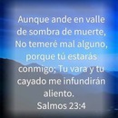 salmo 23 : 4