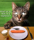 gato vegetariano