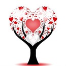 arbre amour