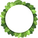 corona de hojas verdes.