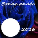 BONNE ANNEE 2016