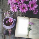 Cc entre flores y libro