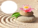 Zen - sable - pierres - lotus