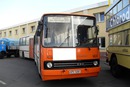 ikarus bus