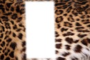 mini léopard 2