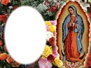 VIRGEN DE GUADALUPE