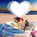 my memory loves you