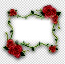rose frame