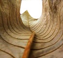ON THE END OF A LEAF TUNEL