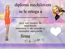 Diploma mechilovers