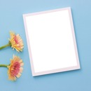 marco blanco para una foto y flores, fondo celeste.