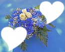 Trés fleurs bleue*