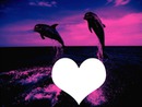 coeur dauphin