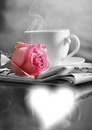rose et caféjournal