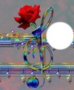 musique et rose