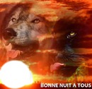 loup et panthere