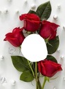 renewilly 4 rosas y foto