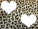 Un amour de léopard
