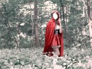 Red Riding Hood In The Woods