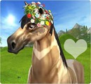 Star stable