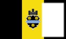 Pittsburgh flag