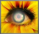 olho flor amarela