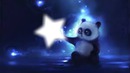 panda veut son étoile