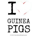 I ♥ GUINEA PIG