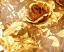 rose en or
