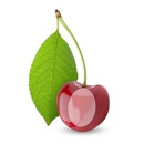 cherry