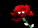 Ta rose d'amour