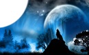 Loup planet bleu
