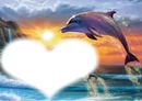 cœur du dauphin