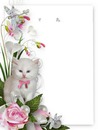 cadre chat avec une rose 1 photo