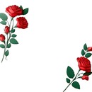 ramo de rosas rojas.