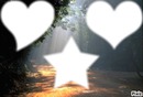 forêt : 2 coeurs différents, 1 étoile