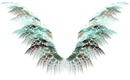 les ailes d'anges yayadu44