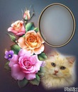 cadre fleurs chat