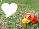 Les fleurs = le coeur ?