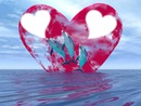 dauphin au fond de coeur