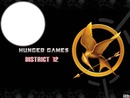 hunger games district 12