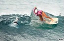 surf requin